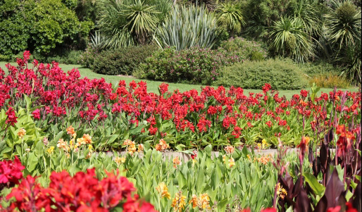 獲得全球最佳景觀獎的墨爾本植物園