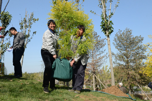 穿冬衣進(jìn)溫室 園博園保護(hù)南方植物溫暖越冬