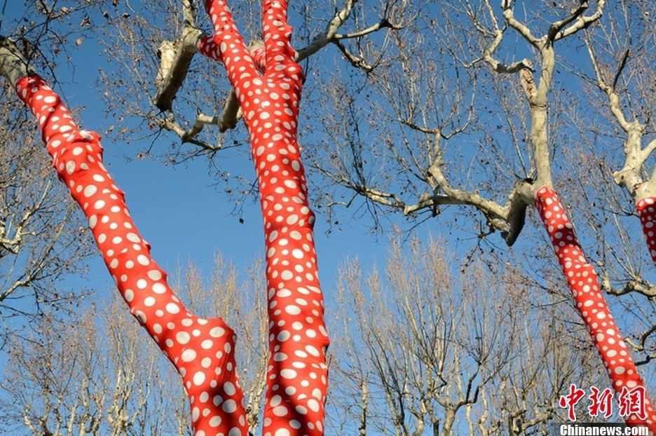 藝術家扮靚冬日街頭 為樹木穿上橙色圓點外衣