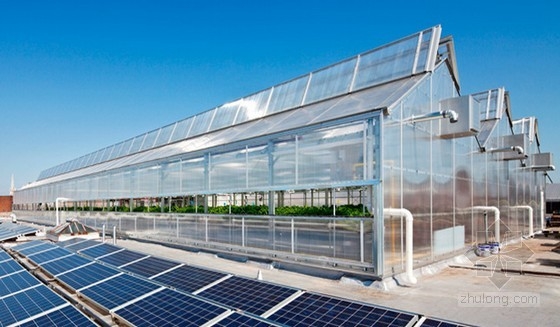 Gotham Green設計的屋頂農(nóng)場 公共空間|規(guī)劃設計 中國風景園林網(wǎng)