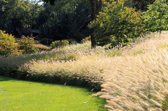 房產(chǎn)花園 公共空間|規(guī)劃設(shè)計(jì) 中國(guó)風(fēng)景園林網(wǎng)