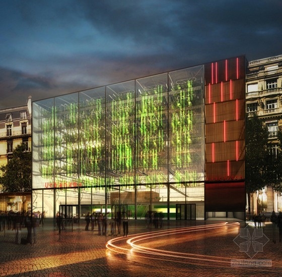 巴黎城市垂直香蕉種植園