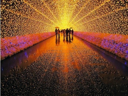 日本長島植物園7百萬盞LED彩燈打造時空隧道