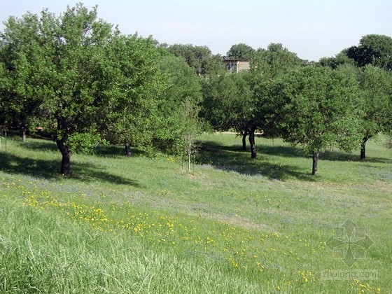 佐佐木公司設(shè)計(jì)的美國(guó)圣愛德華大學(xué)景觀總體規(guī)劃