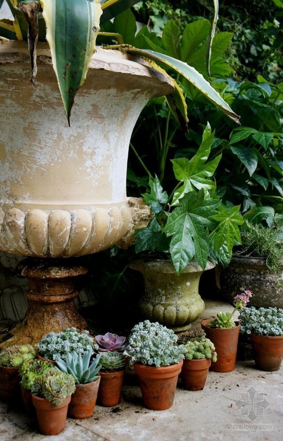 倫敦古玩家Will Fisher的花園