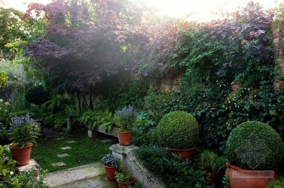 倫敦古玩家Will Fisher的花園