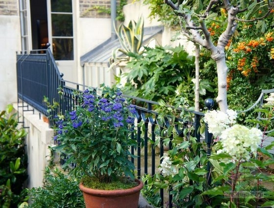 倫敦古玩家Will Fisher的花園