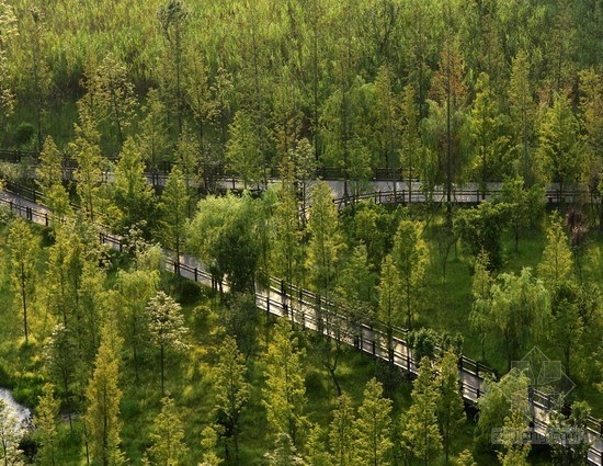 畢路德設(shè)計(jì)的四川遂寧涪江濕地公園