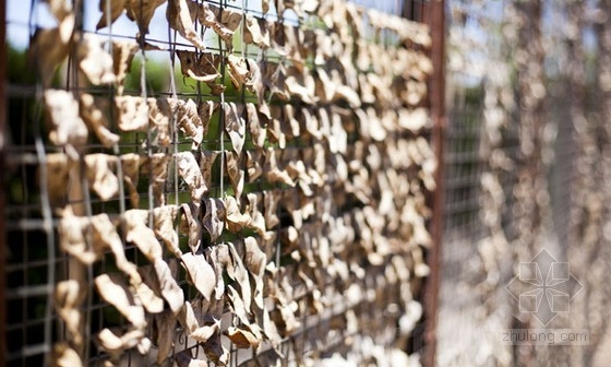 美國(guó)加利福尼亞州世界級(jí)景觀設(shè)計(jì)展