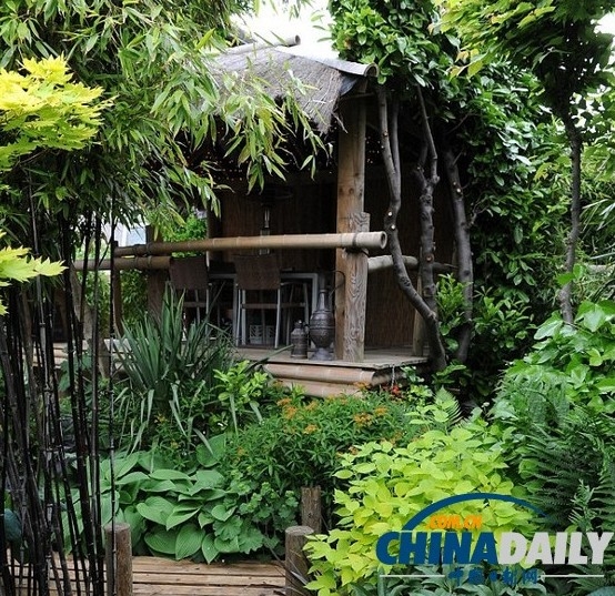 熱帶花園中央甚至有一座小木屋，威爾遜可以在此招待客人。