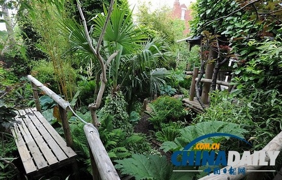 盡管冬季的約克郡氣溫常常降至零下，但是威爾遜的熱帶植物應付得了英國的天氣，令人吃驚。