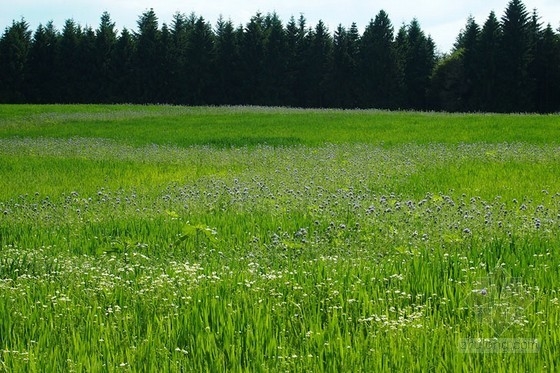 德國數(shù)字農(nóng)業(yè)景觀