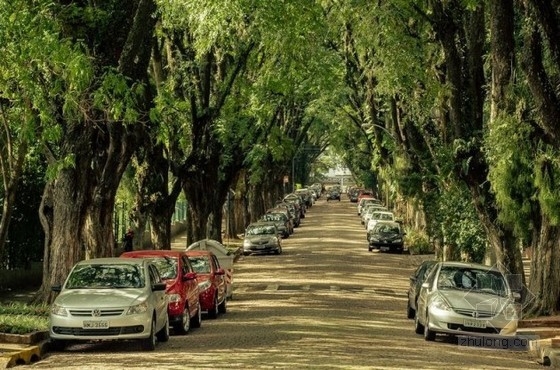 世界上最美的街道----巴西阿雷格里港大街