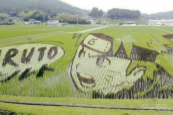 日本田舍館村村民設(shè)計(jì)的巨型稻田插畫藝術(shù)