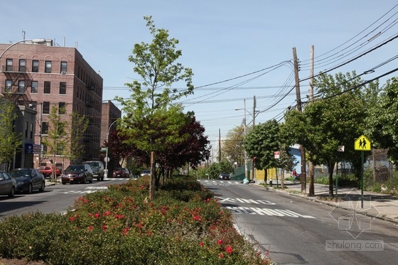 Mathews Nielsen設計的紐約南布朗克斯園林路