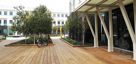 CMG設計的社交網絡公司園區