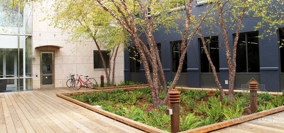 CMG設計的社交網絡公司園區