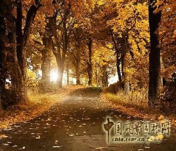 “秋意·秋憶 最美街景攝影比賽”報名通知