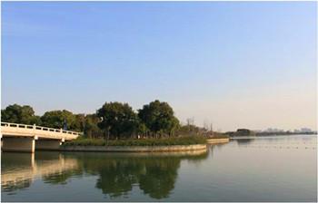 精品園林獎金獎：太湖新城蘇州灣大堤綠化景觀工程