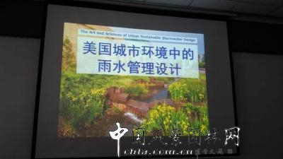羅青:美國城市環境中的雨水管理設計