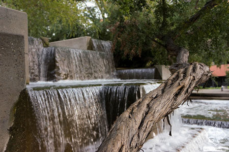 美國舊金山Levi公園實景圖
