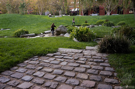 美國舊金山Levi公園實景圖