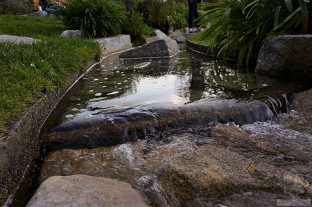 美國舊金山Levi公園實景圖