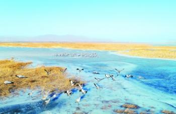 官廳水庫國家濕地公園變身北京“后花園”