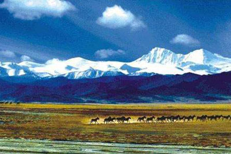 青海發布《三江源國家公園公報(2019)》