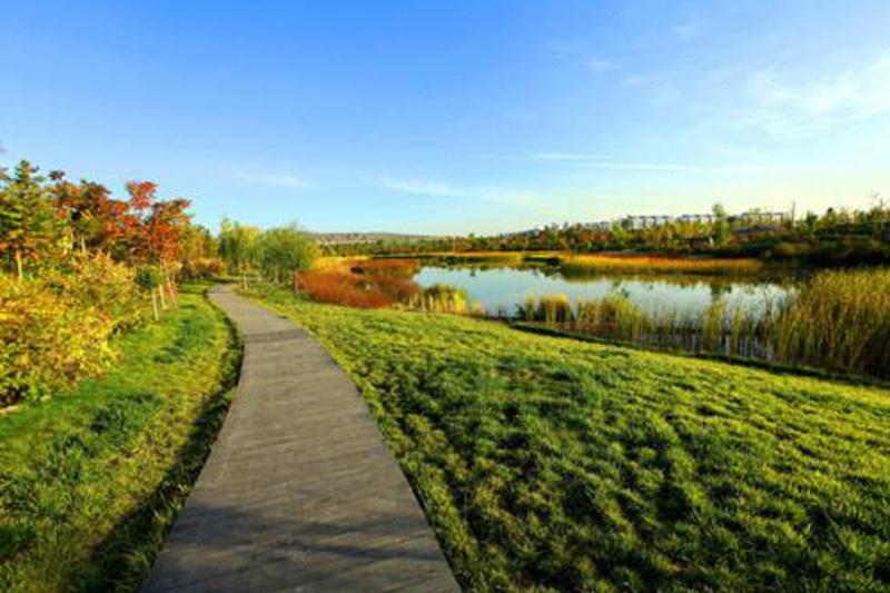 山西省委書記樓陽生:建設(shè)地綠水清天藍(lán)的美麗家園