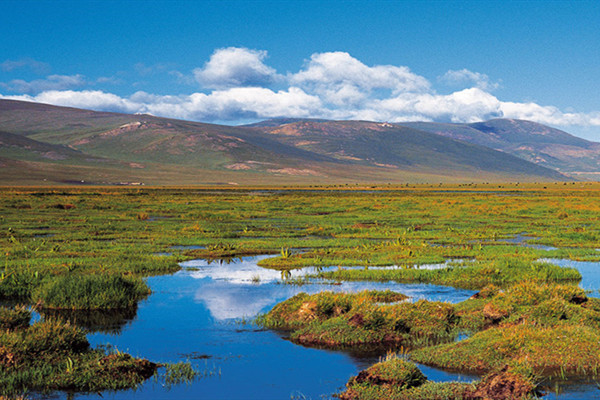 建設國家公園是“兩山”生動實踐