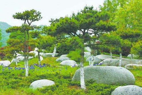 謹防“移石造景”成形象工程