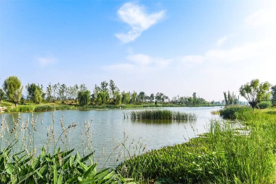 生態(tài)保護(hù)修復(fù)考驗(yàn)國(guó)土空間治理能力