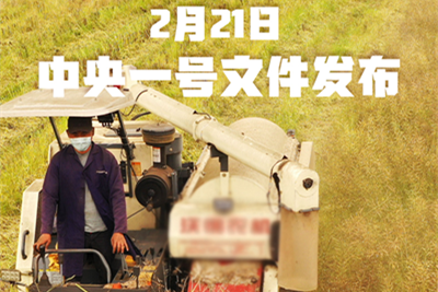 中央一號文件提出全面推進鄉村振興