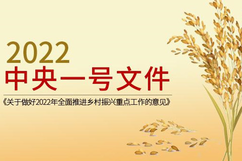 2022一號文件發(fā)布 推進(jìn)鄉(xiāng)村振興