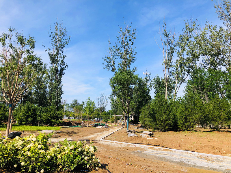 北京奧北森林公園一期10月開園
