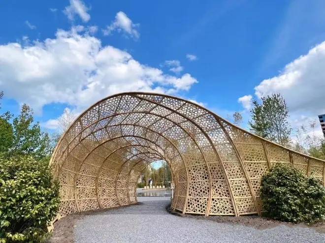 第二屆世界竹藤大會將于11月舉辦