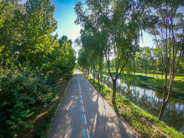北京朝陽打造公園里的城區(qū) 52座公園拆墻透綠
