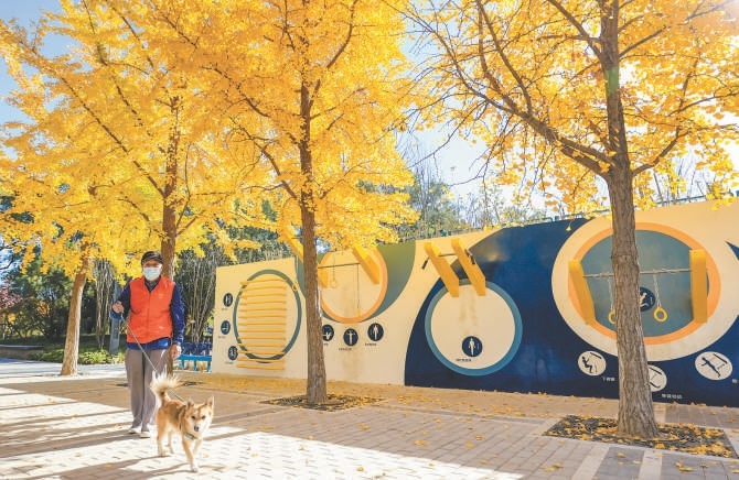 北京二環(huán)邊新開放一批公園綠地