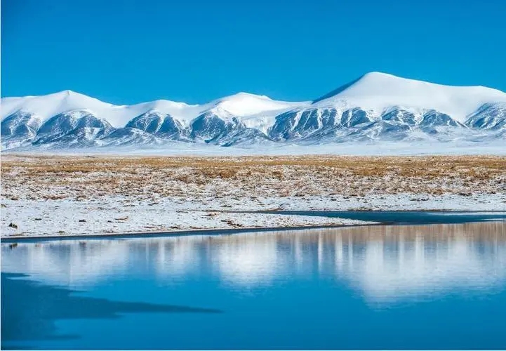 青海省將高標準推進國家公園群建設(shè)