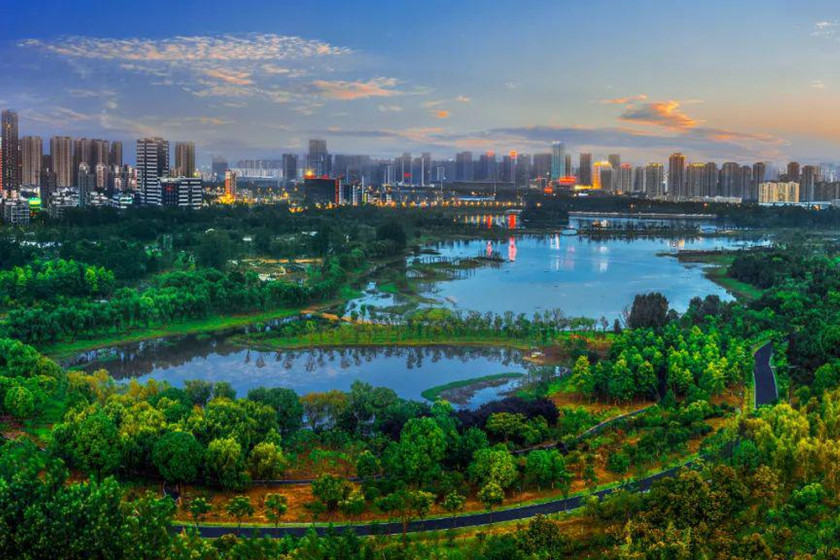 住建部點贊！城市體檢“合肥經驗”全國推廣