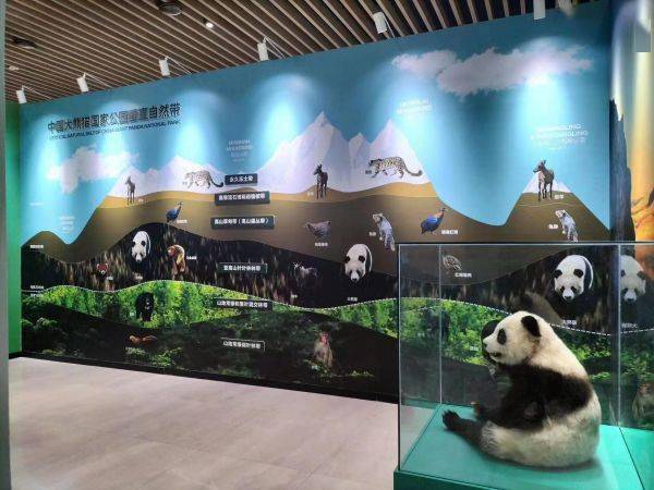 大熊貓國家公園設立一周年展在成都開展