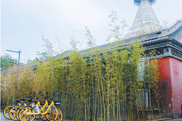 北京：10條背街小巷獲評今年“最美街巷”