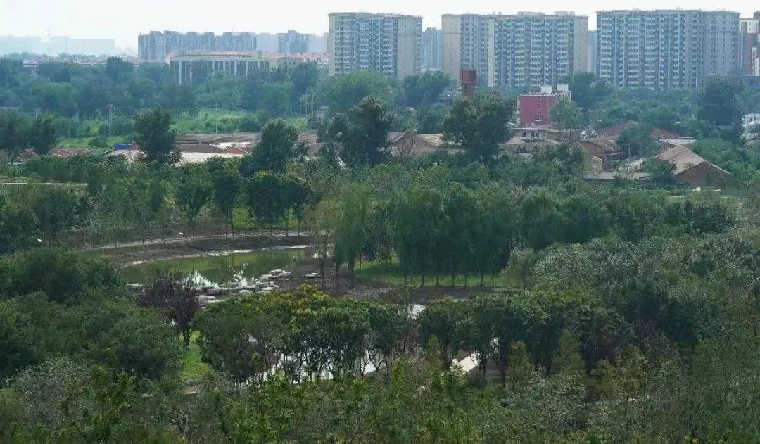 北京：20公頃以上公園擬設“生態保育小區”