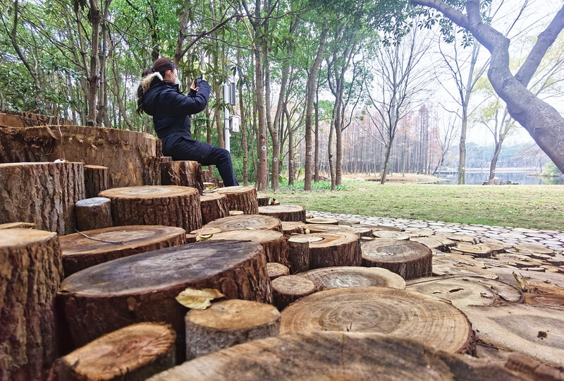 “十四五”末 上海市環(huán)上公園將達(dá)50座