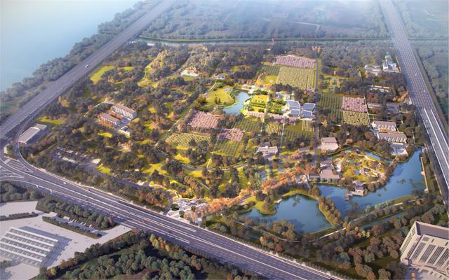 合肥打造綜合型森林式自然研學公園