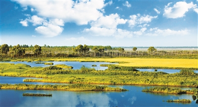 中國(guó)國(guó)際重要濕地生態(tài)狀況總體穩(wěn)定