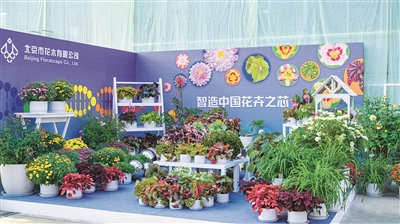 2022年我國花卉出口額創歷史新高