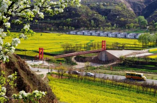 代表委員談履職：為推進鄉村振興貢獻智慧和力量