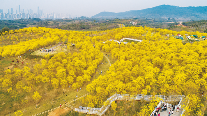 南寧積極探索“公園＋”模式構建生態美麗宜居綠城